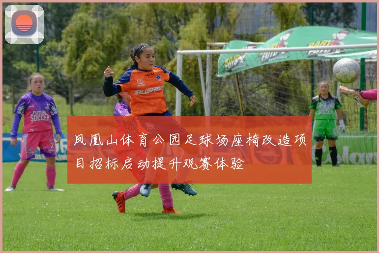 凤凰山体育公园足球场座椅改造项目招标启动提升观赛体验