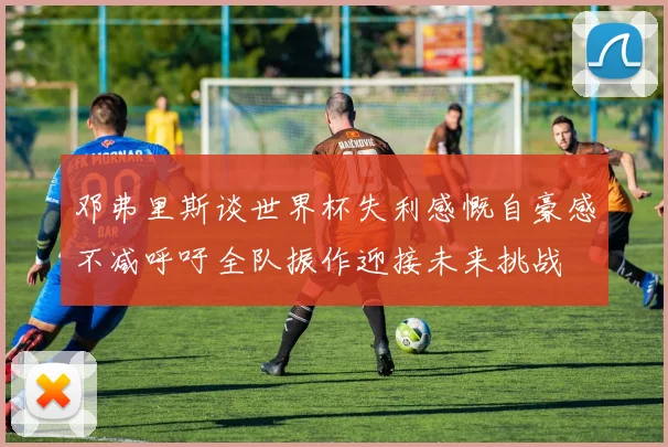 邓弗里斯谈世界杯失利感慨自豪感不减呼吁全队振作迎接未来挑战